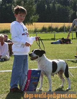 INT CH WW-98 Stonecutter's Arctic Night