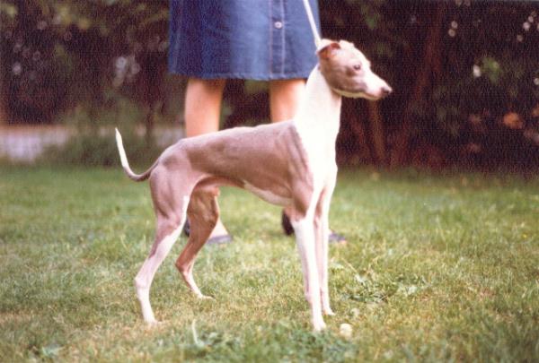 Tamorettta Time After Time