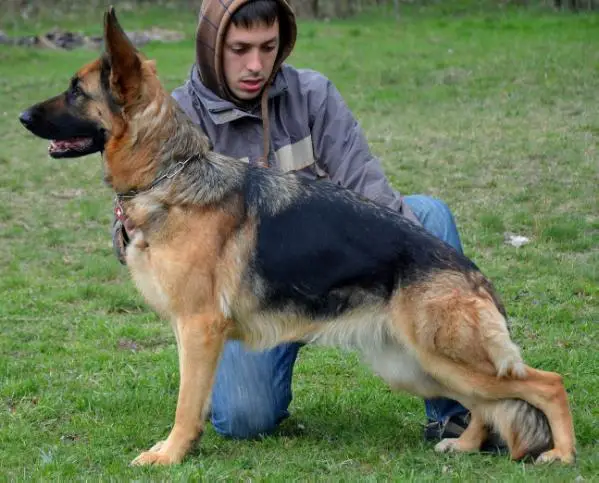 Dia von Turenhof (2011)