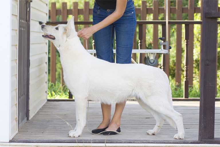 RU CAC Djabulani Jasmin