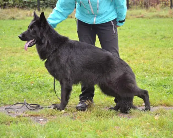 SG1, CH RUS Naomi v. Nord Traum