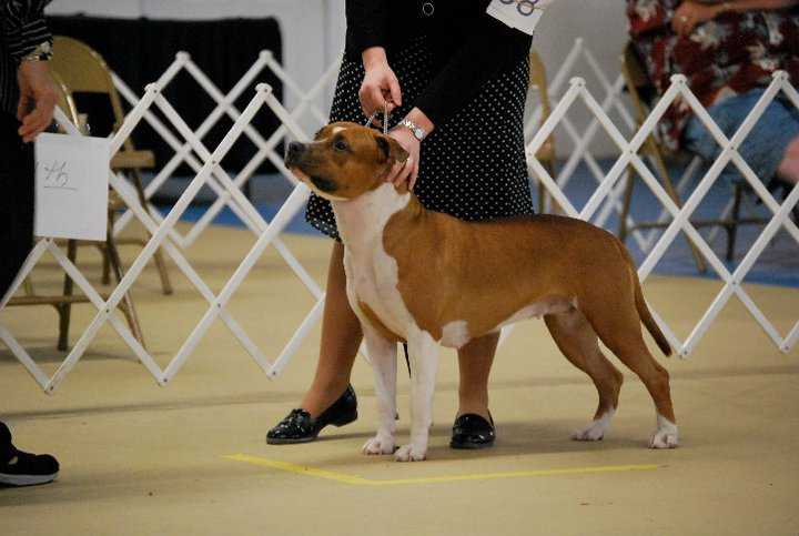 Stone Free Linda Lou