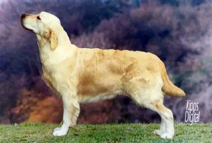 Stanroph Sailors Fantasy