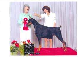 CH Niklby's Proof I'm Special