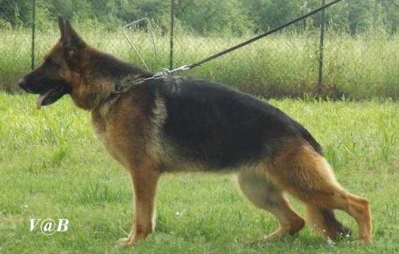 Panama della Valle del Liri