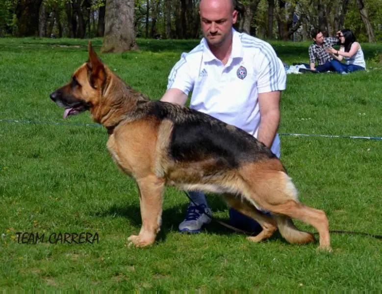 Enny von Yugerschof