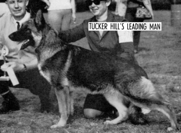 Tucker Hill's Leading Man