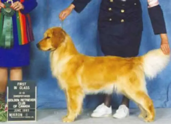 Can CH Brookshire's Jessica Tandy