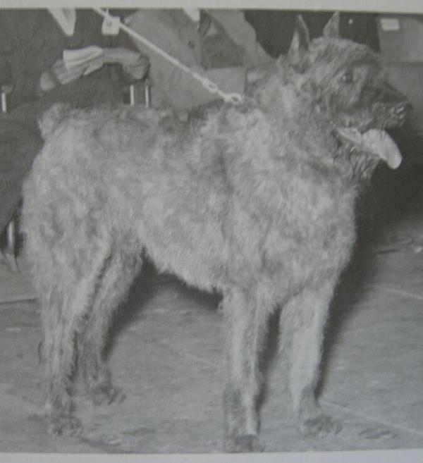 Heros du Posty Arlequin