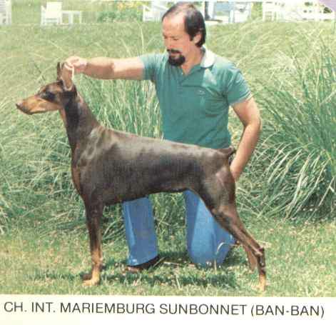Marienburg Sun Bonnet