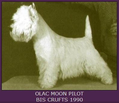 Olac Moon Pilot