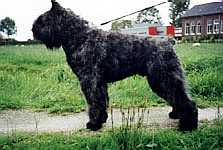 Clovis Kirby v.d. Duca Vallei