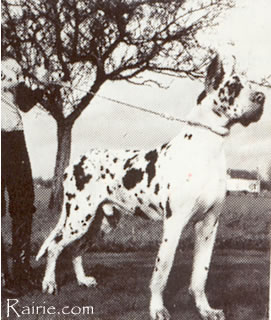 Jaarhaus Du Domaine De L'empereur