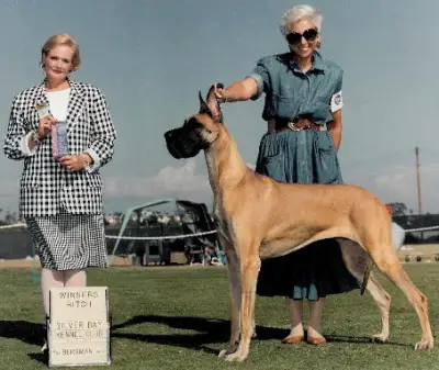 CH Zarlin's Fancy Footwork