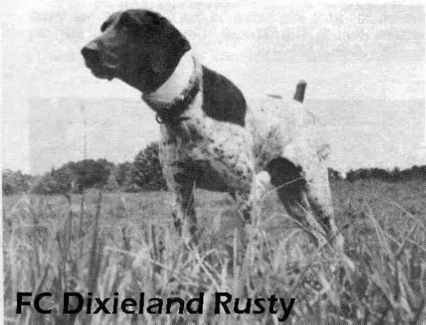 FC Dixieland's Rusty