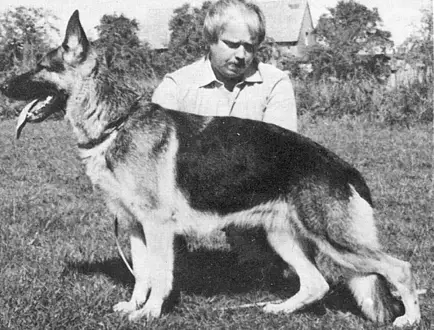 V1 Rieke vom Kirschental