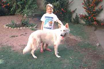 Argus das Dunas Brancas