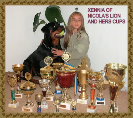 VA/SG/INTUCH Xennia Of Nicola's Lion
