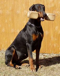 Briska's Winnie