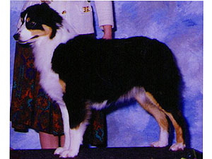 Ragtime Top Gun guess Who