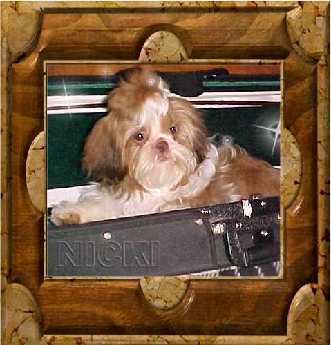 Mishu's Little Unique Obsession