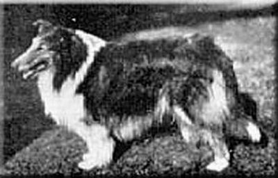 CH Seedley Stirling