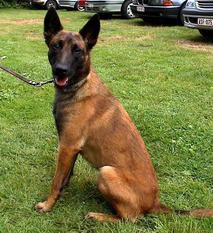 Yta van de Duvetorre (?)