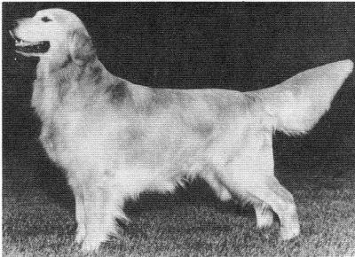 CH Can Ocoee Sure Thing