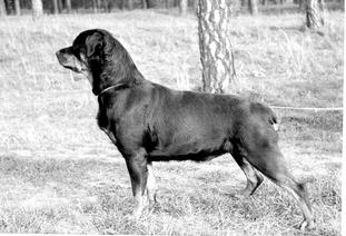 Edda Von Schultenhof