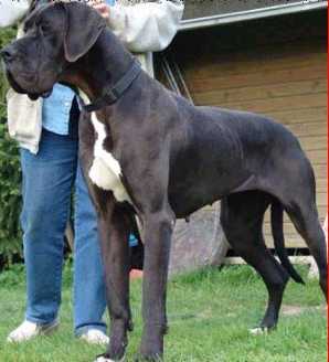 Unna Von Der Nurburg