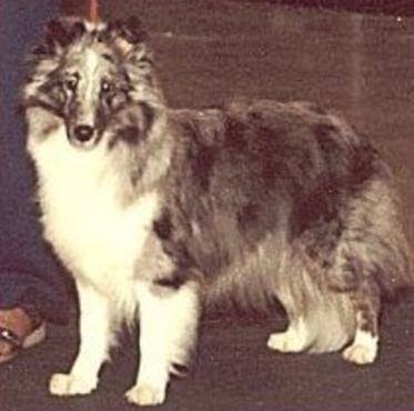 Roranjoli Bi Popular Demand