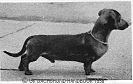 ENG CH Challenge of Wendlitt