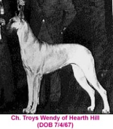 CH Troy's Wendy of Hearth Hill