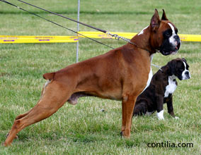 MULTI-CH. Sherpa des Jardins de Passiflore