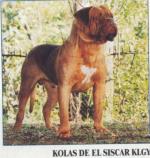Kolas De El Siscar