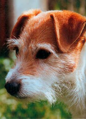 Clystlands Belinda Ridley