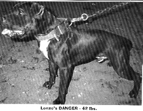 LONZO'S DANGER
