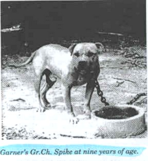 GARNER'S SPIKE