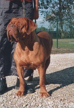 Xana Van De Paterhoek