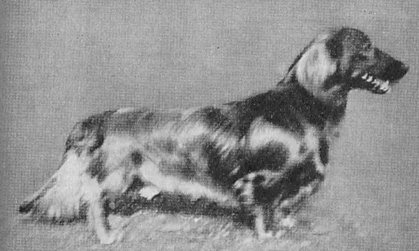 Axel vom Ehrhardstein