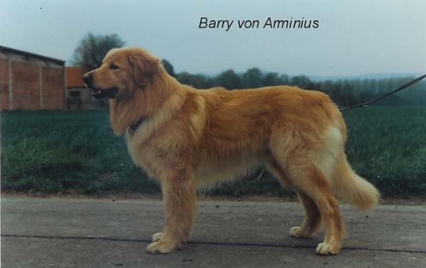 Barry von Arminius