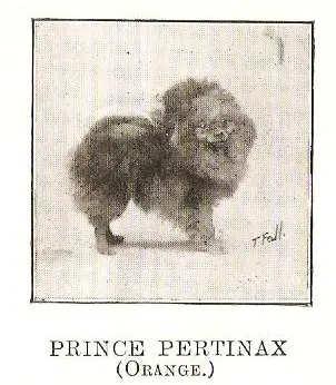 Prince Pertinax