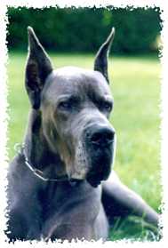 Lothar-B Indios dell'Armida