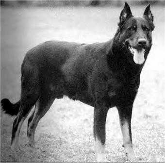 CHCS 83 Rip de Bellemour