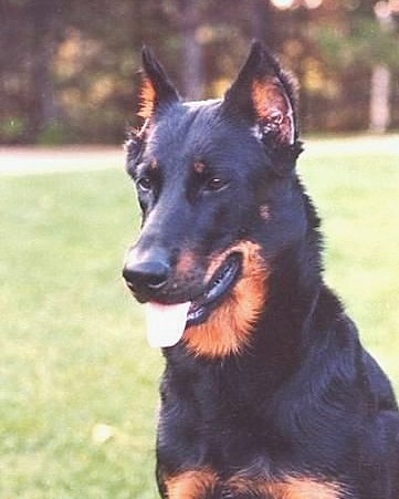 Jodie du Pla de la Jasse