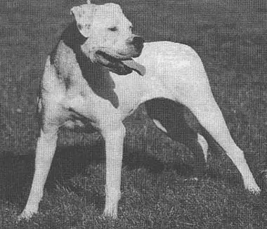 Eleonora's Meggie