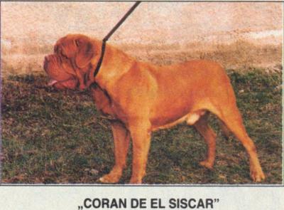 Coran de El Siscar