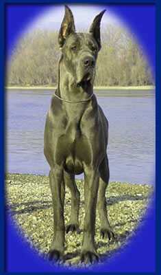 Rebecca-B Della Baia Azzurra