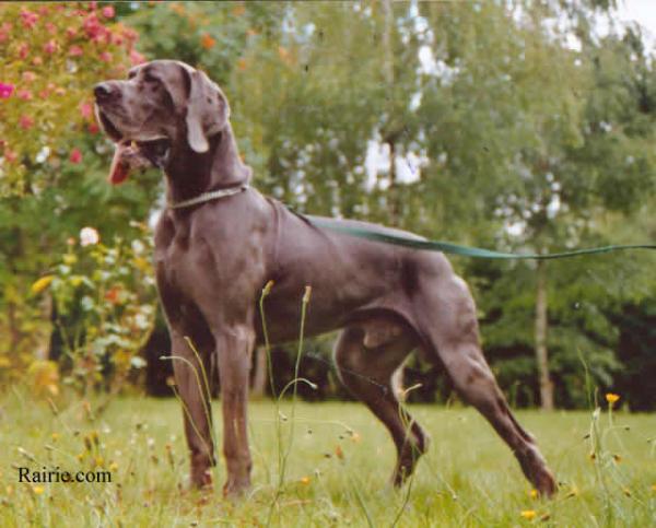 Orlof du Val de L'amitie