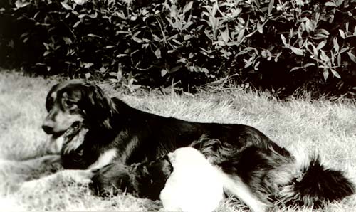 Jessyka von der Asseburg